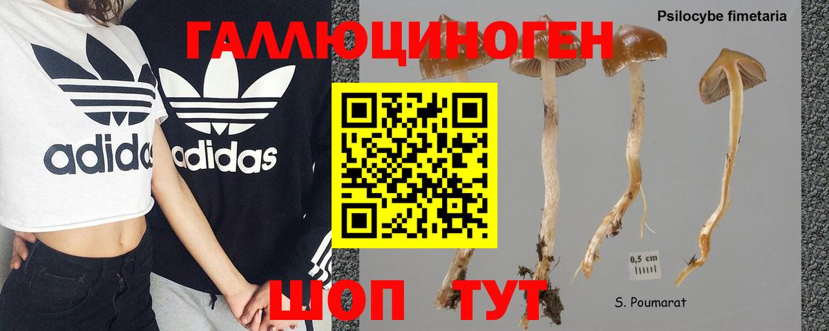 Псилоцибиновые грибы MAGIC MUSHROOMS Нефтекамск